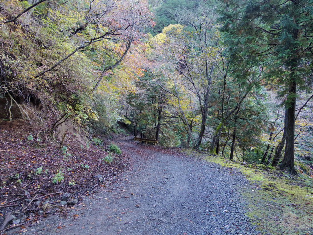 烏尾山 三ノ塔 塔ノ岳の登山口 新茅山荘の駐車場情報