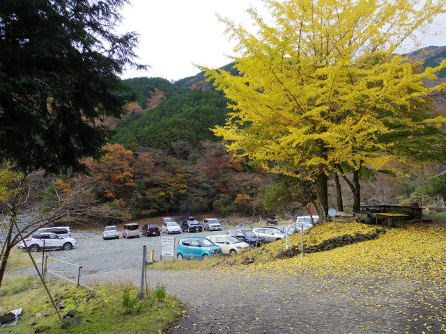 塔ノ岳 鍋割山の登山口 戸沢出合の駐車場情報