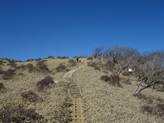 丹沢山（早戸大滝～大滝新道） 登山口コースガイド 丹沢主稜【登山口ナビ】
