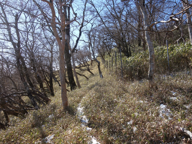 丹沢山（早戸大滝～大滝新道） 登山口コースガイド 主稜合流手前の植生保護柵【登山口ナビ】