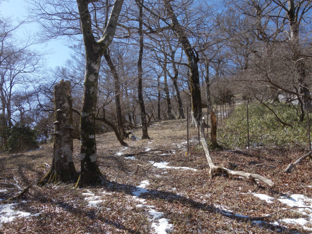 丹沢山（早戸大滝～大滝新道） 登山口コースガイド 植生保護柵【登山口ナビ】
