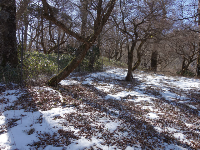 丹沢山（早戸大滝～大滝新道） 登山口コースガイド 植生保護柵【登山口ナビ】
