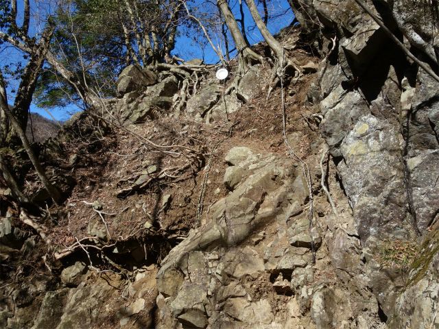 丹沢山（早戸大滝～大滝新道） 登山口コースガイド 大滝新道入口【登山口ナビ】