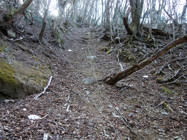 丹沢山（早戸大滝～大滝新道） 登山口コースガイド ロープの張られた急登【登山口ナビ】