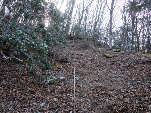 丹沢山（早戸大滝～大滝新道） 登山口コースガイド ロープの張られた急登【登山口ナビ】