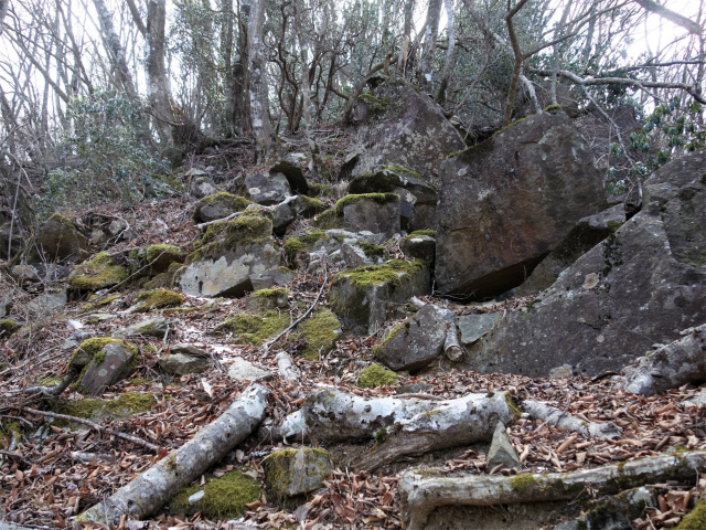 丹沢山（早戸大滝～大滝新道） 登山口コースガイド 露岩【登山口ナビ】