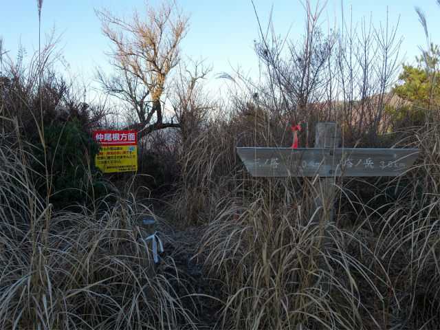 塔ノ岳(丹沢表尾根) 登山口コースガイド 仲尾根分岐【登山口ナビ】