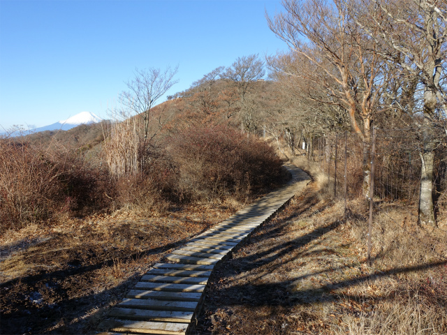 塔ノ岳(丹沢表尾根) 登山口コースガイド 塔ノ岳と富士山【登山口ナビ】