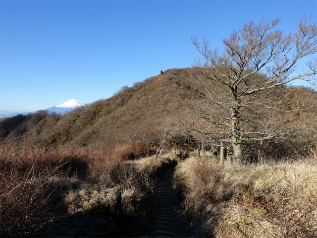 塔ノ岳(丹沢表尾根) 登山口コースガイド 塔ノ岳と富士山【登山口ナビ】