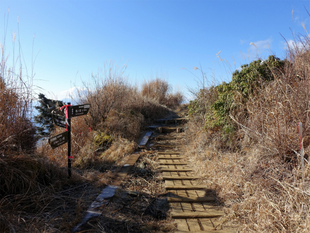 塔ノ岳(丹沢表尾根) 登山口コースガイド 烏尾尾根分岐【登山口ナビ】