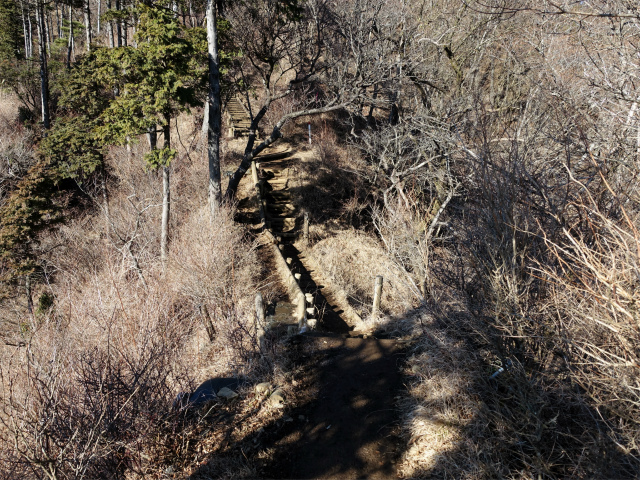塔ノ岳(丹沢表尾根) 登山口コースガイド 二ノ塔鞍部【登山口ナビ】