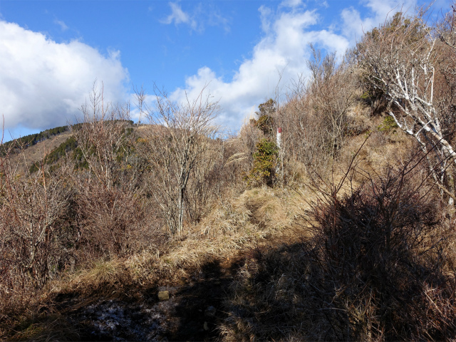 塔ノ岳(丹沢表尾根) 登山口コースガイド 二ノ塔尾根【登山口ナビ】