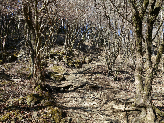 塔ノ岳(丹沢表尾根) 登山口コースガイド【登山口ナビ】