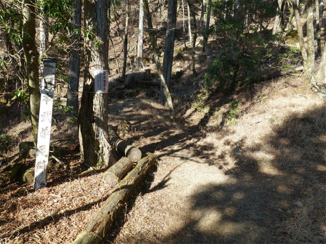 塔ノ岳(丹沢表尾根) 登山口コースガイド 日本武尊足跡入口【登山口ナビ】