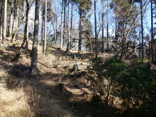 塔ノ岳(丹沢表尾根) 登山口コースガイド 日本武尊足跡鳥居【登山口ナビ】
