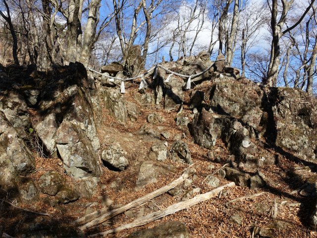 塔ノ岳(丹沢表尾根) 登山口コースガイド 日本武尊足跡【登山口ナビ】