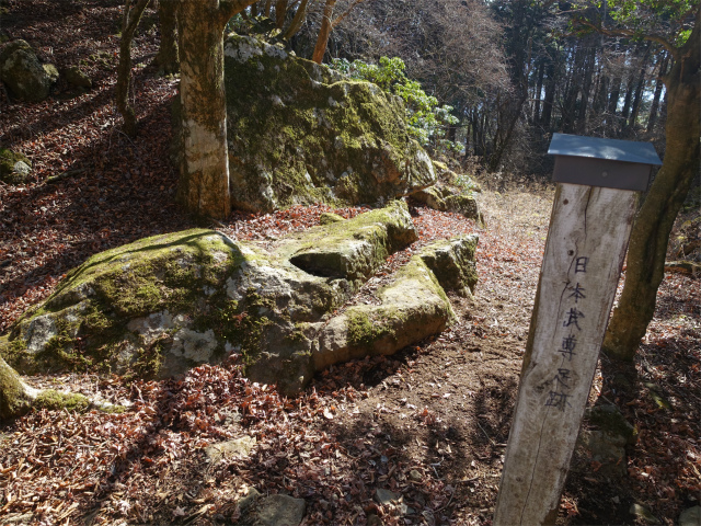 塔ノ岳(丹沢表尾根) 登山口コースガイド 日本武尊足跡【登山口ナビ】