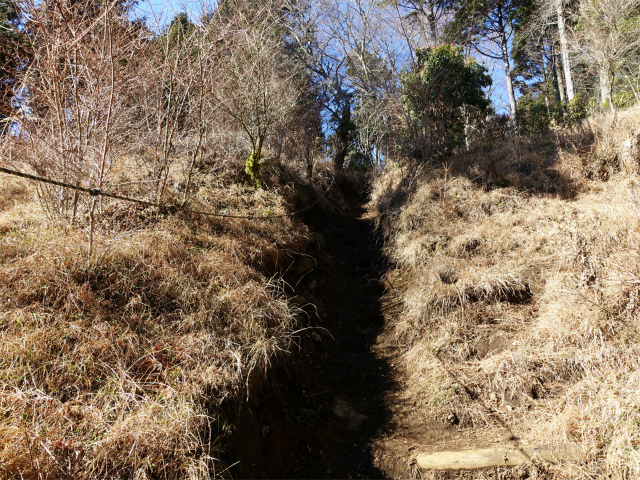 塔ノ岳(丹沢表尾根) 登山口コースガイド 急斜面【登山口ナビ】