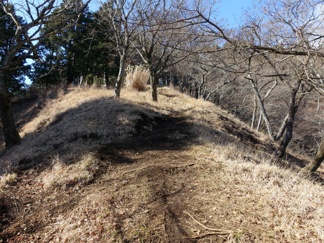 塔ノ岳(丹沢表尾根) 登山口コースガイド 緩斜面【登山口ナビ】