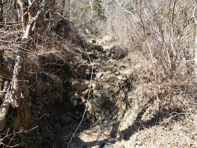 塔ノ岳(丹沢表尾根) 登山口コースガイド ロープの急登【登山口ナビ】