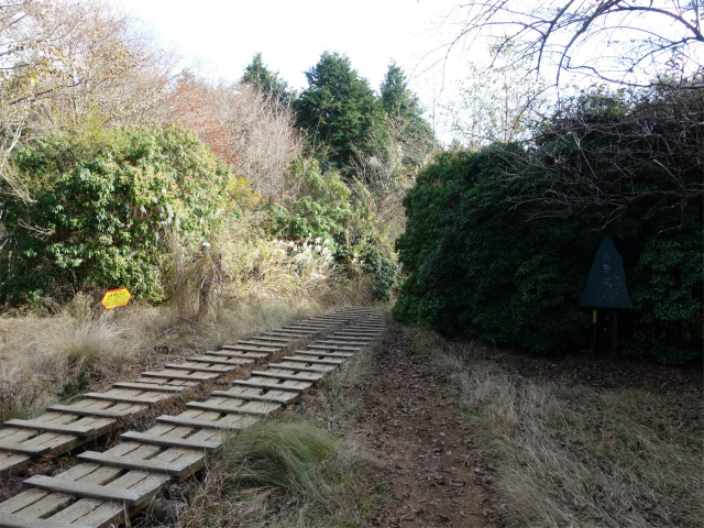 塔ノ岳(政次郎尾根・天神尾根) 登山口コースガイド 小草平ベンチ【登山口ナビ】
