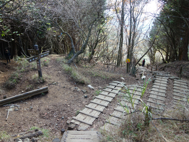 塔ノ岳(政次郎尾根・天神尾根) 登山口コースガイド 天神尾根分岐【登山口ナビ】
