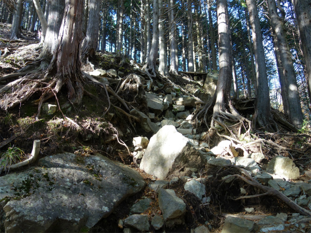 塔ノ岳(政次郎尾根・天神尾根) 登山口コースガイド 急斜面【登山口ナビ】