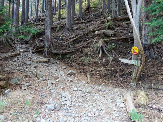 塔ノ岳(政次郎尾根・天神尾根) 登山口コースガイド【登山口ナビ】