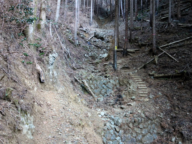 丹沢山（天王寺尾根） 登山口コースガイド【登山口ナビ】