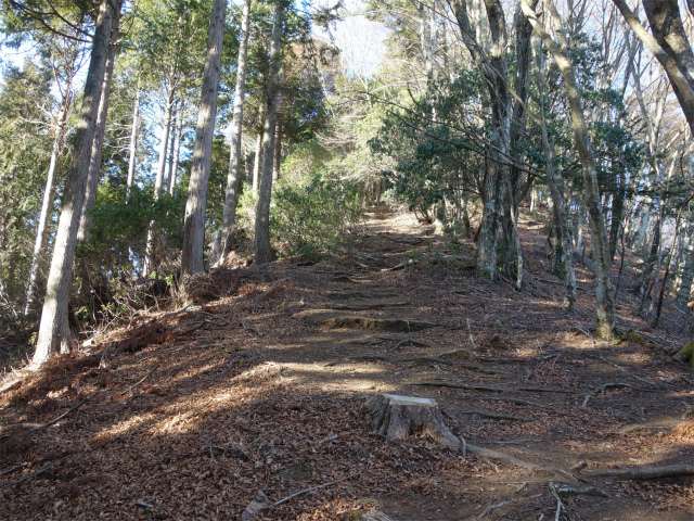丹沢山（天王寺尾根） 登山口コースガイド 落葉樹林【登山口ナビ】
