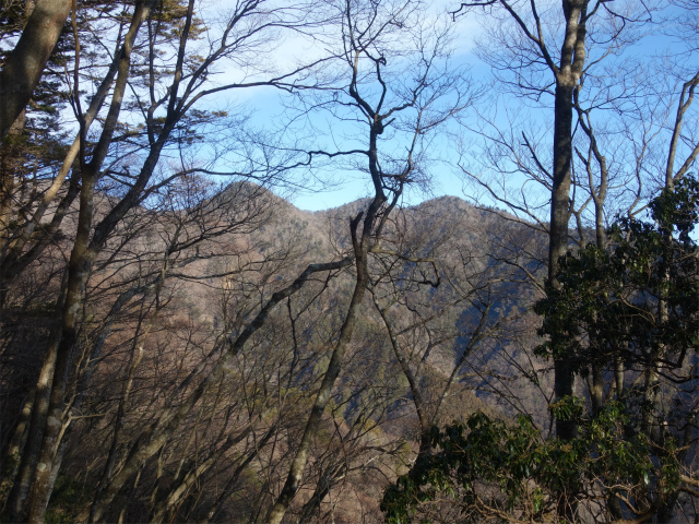 丹沢山（天王寺尾根） 登山口コースガイド 丹沢三峰【登山口ナビ】