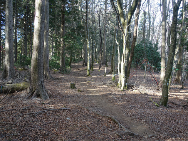 丹沢山（天王寺尾根） 登山口コースガイド 平坦地【登山口ナビ】