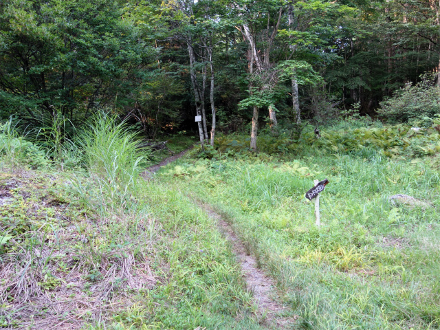 鳳凰三山（青木鉱泉～ドンドコ沢コース） 登山道入口【登山口コースガイド】