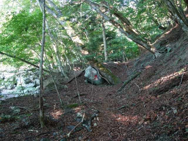 鳳凰三山（青木鉱泉～ドンドコ沢コース）登山口コースガイド 支流の左岸【登山口ナビ】