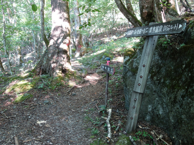 鳳凰三山（青木鉱泉～ドンドコ沢コース）登山口コースガイド 指導標【登山口ナビ】