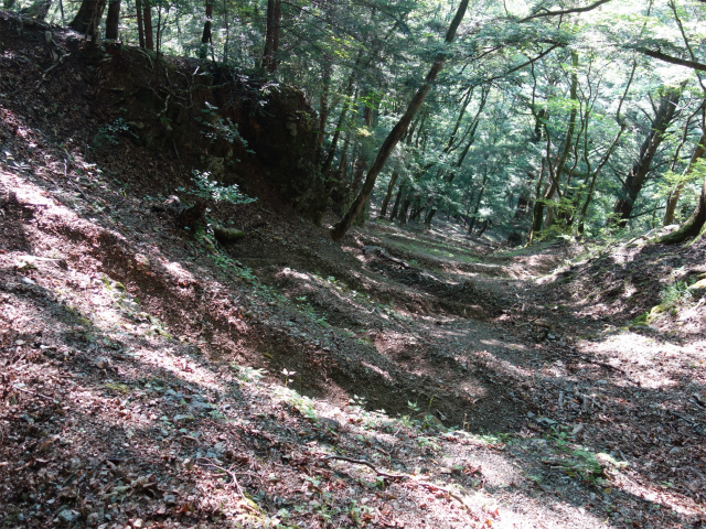 鳳凰三山（青木鉱泉～ドンドコ沢コース）登山口コースガイド 九十九折れの急登【登山口ナビ】