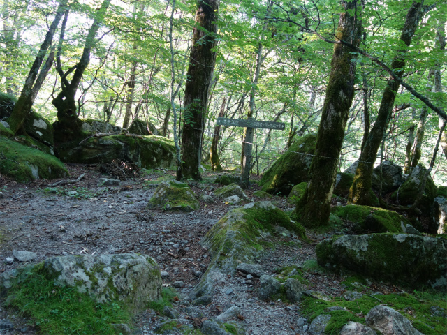 鳳凰三山（青木鉱泉～ドンドコ沢コース）登山口コースガイド 平場【登山口ナビ】