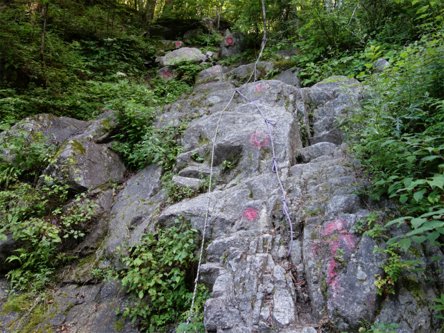 鳳凰三山（青木鉱泉～ドンドコ沢コース）登山口コースガイド ロープの岩場【登山口ナビ】