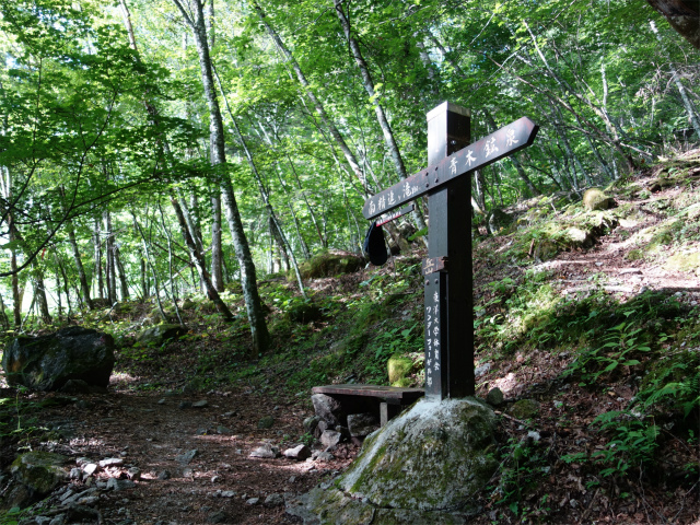 鳳凰三山（青木鉱泉～ドンドコ沢コース）登山口コースガイド 南精進ヶ滝分岐【登山口ナビ】