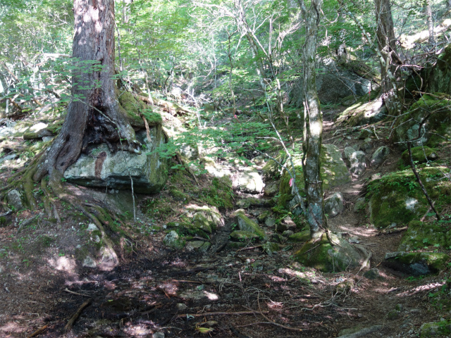 鳳凰三山（青木鉱泉～ドンドコ沢コース）登山口コースガイド【登山口ナビ】