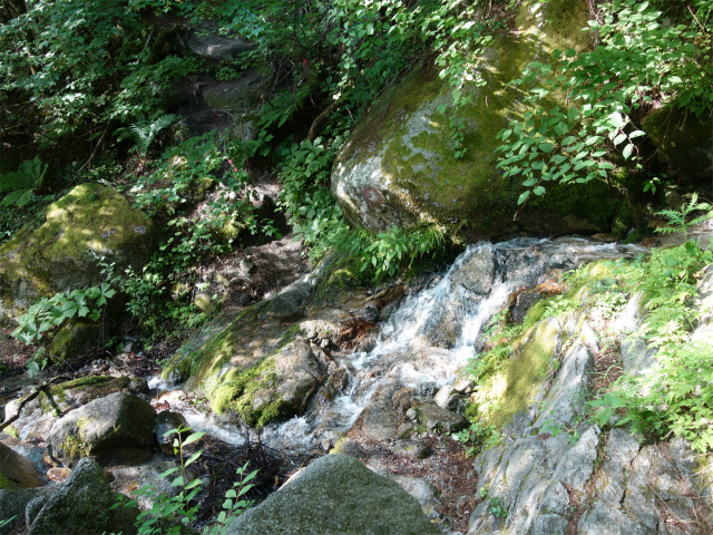 鳳凰三山（青木鉱泉～ドンドコ沢コース）登山口コースガイド 沢の渡渉【登山口ナビ】