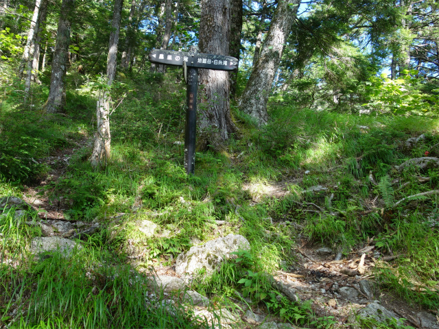 鳳凰三山（青木鉱泉～ドンドコ沢コース）登山口コースガイド 鳳凰ノ滝分岐【登山口ナビ】