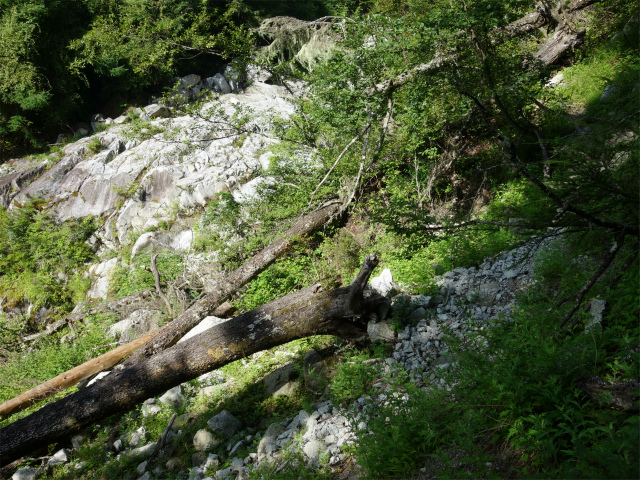 鳳凰三山（青木鉱泉～ドンドコ沢コース）登山口コースガイド【登山口ナビ】