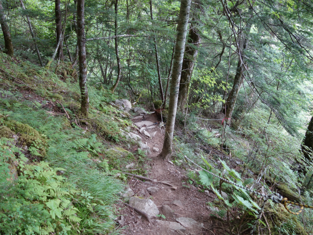 鳳凰三山（青木鉱泉～ドンドコ沢コース）登山口コースガイド 下巻き【登山口ナビ】