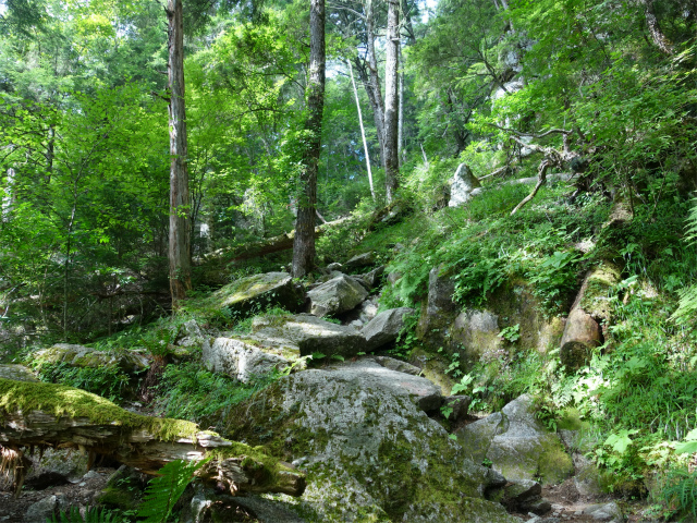 鳳凰三山（青木鉱泉～ドンドコ沢コース）登山口コースガイド 岩の転がる急登【登山口ナビ】