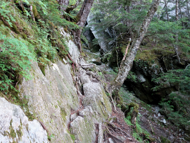 鳳凰三山（青木鉱泉～ドンドコ沢コース）登山口コースガイド 岩壁【登山口ナビ】