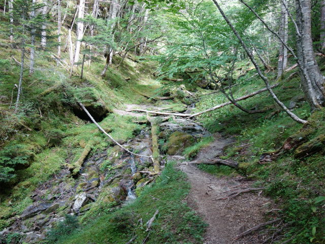 鳳凰三山（青木鉱泉～ドンドコ沢コース）登山口コースガイド 沢筋【登山口ナビ】