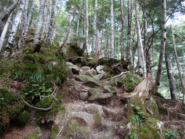 鳳凰三山（青木鉱泉～ドンドコ沢コース）登山口コースガイド 急登【登山口ナビ】