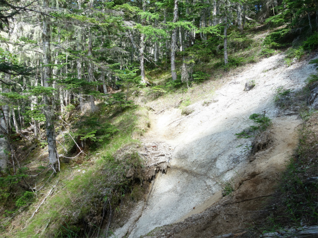 鳳凰三山（青木鉱泉～ドンドコ沢コース）登山口コースガイド 崩れた斜面【登山口ナビ】