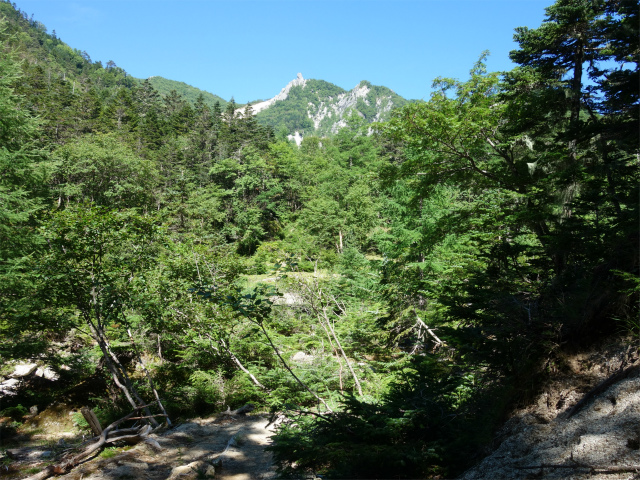 鳳凰三山（青木鉱泉～ドンドコ沢コース）登山口コースガイド 地蔵岳【登山口ナビ】